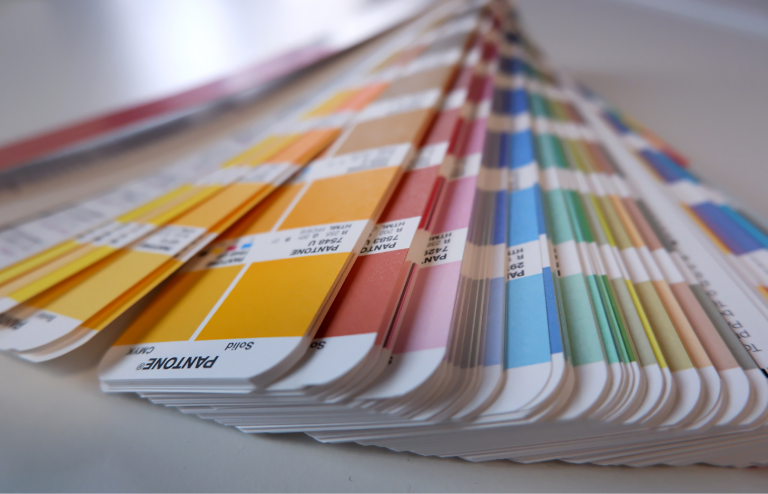 palette de couleur identité visuelle