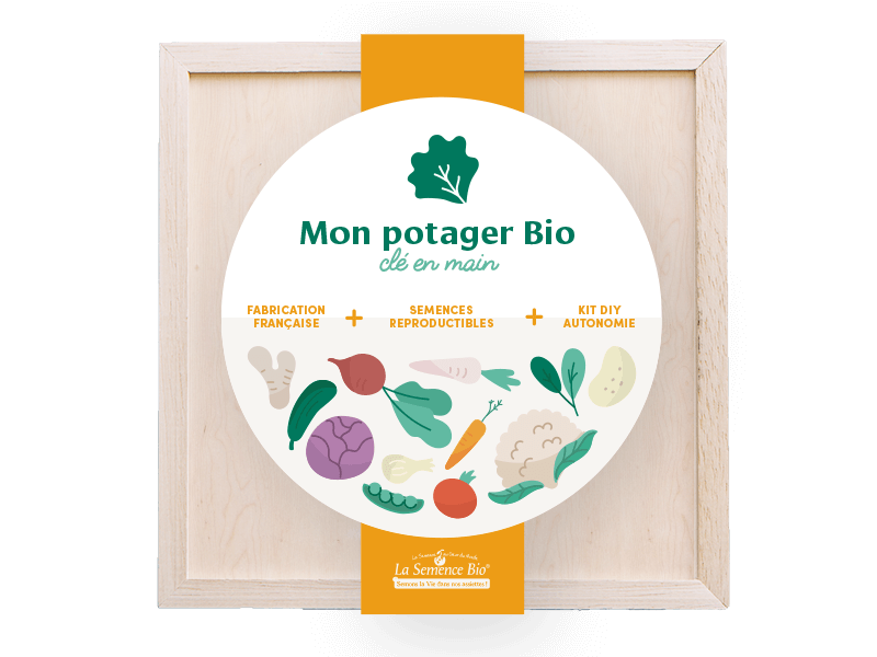 Logotype, réalisation print mon potager bio