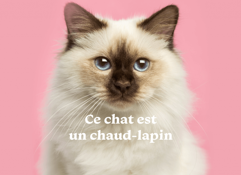 Campagne sensibilisation VetoAvenir Campagne sensibilisation VetoAvenir