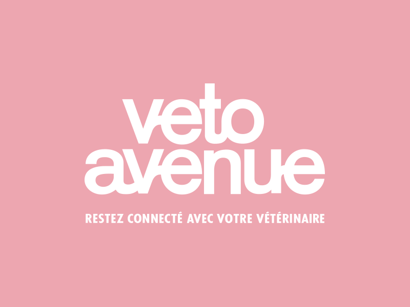 Logo Veto Avenue rose