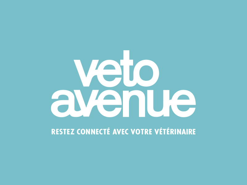 Logo Veto Avenue bleu
