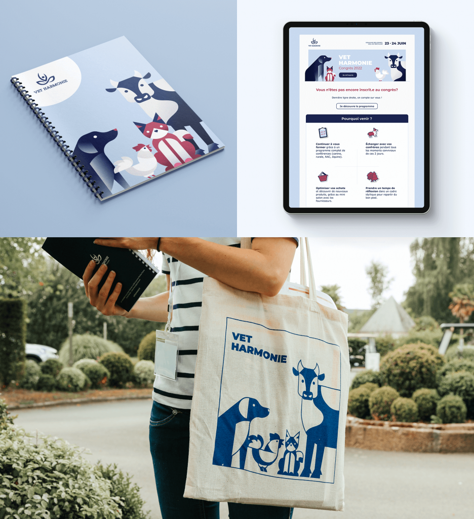 identité visuelle déclinée : programme, campagne emailing et goodies