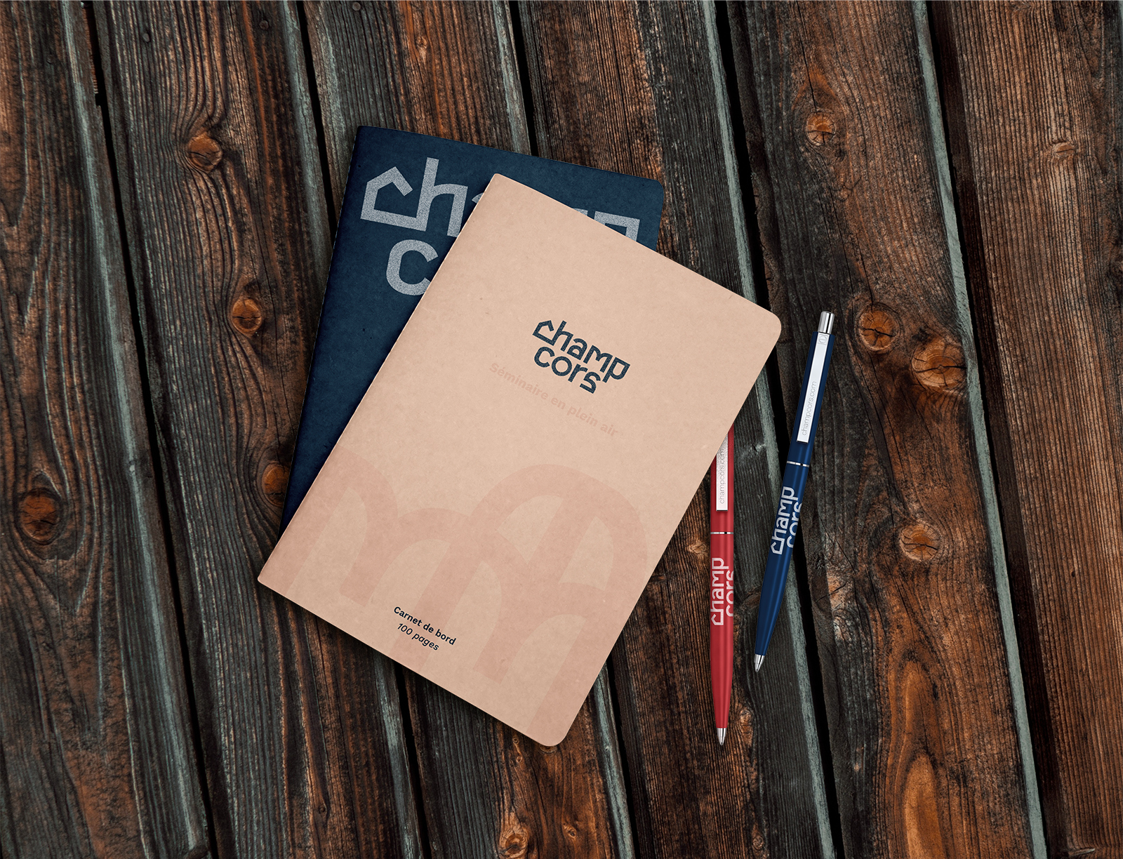 stylochampcors_notbook