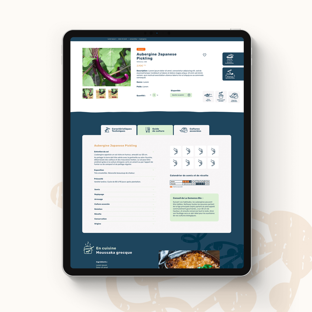 Maquette site web